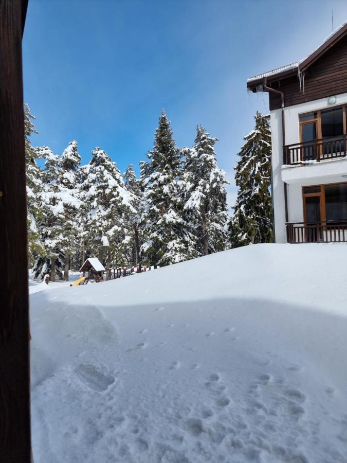 Borovets Ski&Spa Studio - Semiramida Garden A16 Dış mekan fotoğraf